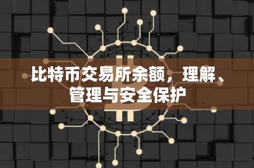 比特币交易所余额，理解、管理与安全保护