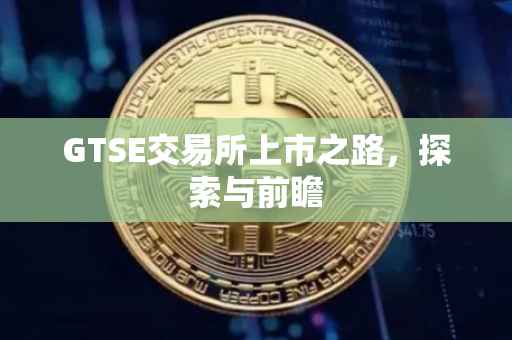 GTSE交易所上市之路，探索与前瞻