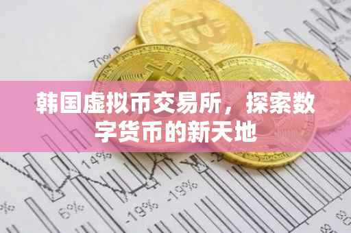 韩国虚拟币交易所，探索数字货币的新天地