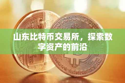 山东比特币交易所，探索数字资产的前沿