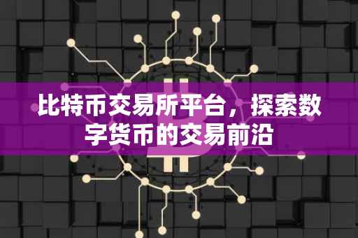 比特币交易所平台，探索数字货币的交易前沿