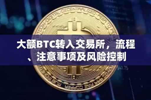 大额BTC转入交易所，流程、注意事项及风险控制
