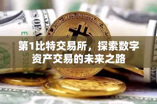 第1比特交易所，探索数字资产交易的未来之路