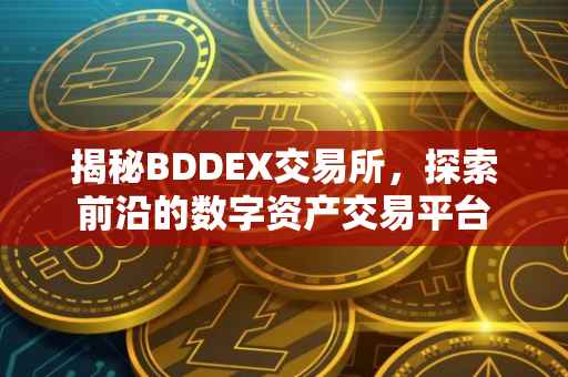 揭秘BDDEX交易所，探索前沿的数字资产交易平台