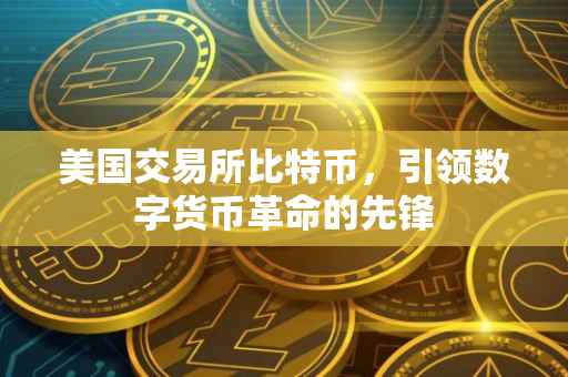 美国交易所比特币，引领数字货币革命的先锋