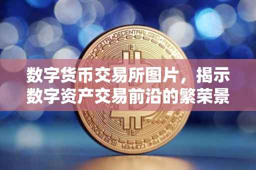数字货币交易所图片，揭示数字资产交易前沿的繁荣景象