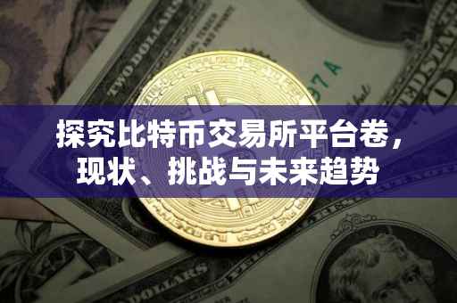 探究比特币交易所平台卷，现状、挑战与未来趋势