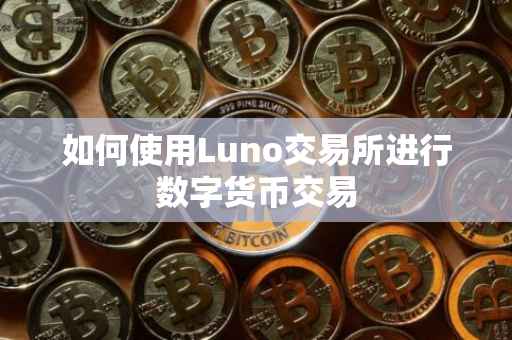 如何使用Luno交易所进行数字货币交易