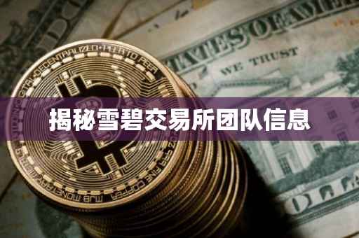 揭秘雪碧交易所团队信息