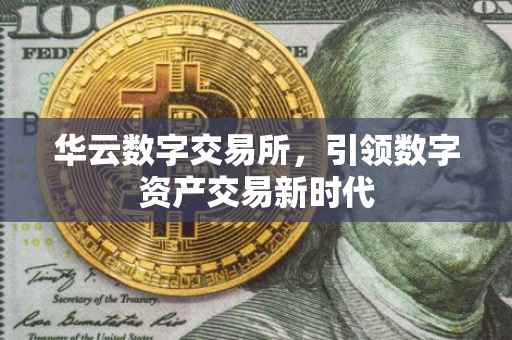 华云数字交易所，引领数字资产交易新时代