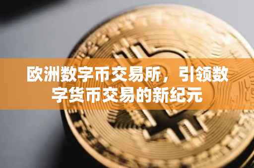 欧洲数字币交易所，引领数字货币交易的新纪元