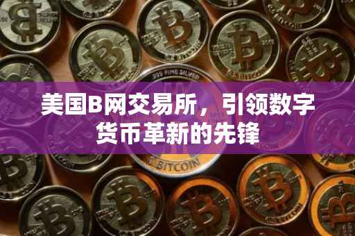 美国B网交易所，引领数字货币革新的先锋