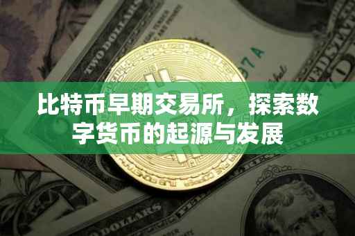 比特币早期交易所，探索数字货币的起源与发展