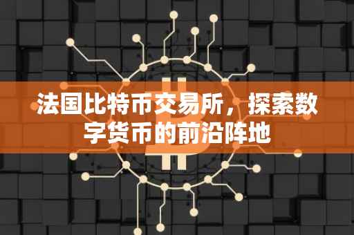 法国比特币交易所，探索数字货币的前沿阵地