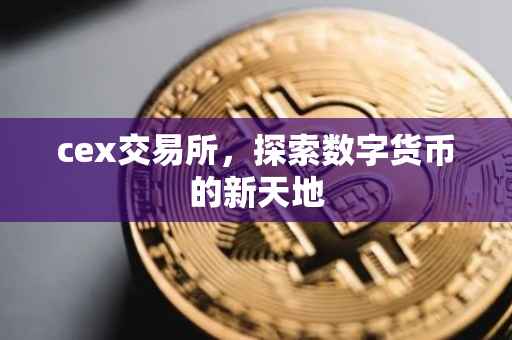 cex交易所，探索数字货币的新天地