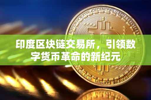 印度区块链交易所，引领数字货币革命的新纪元