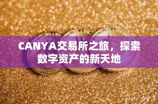 CANYA交易所之旅，探索数字资产的新天地