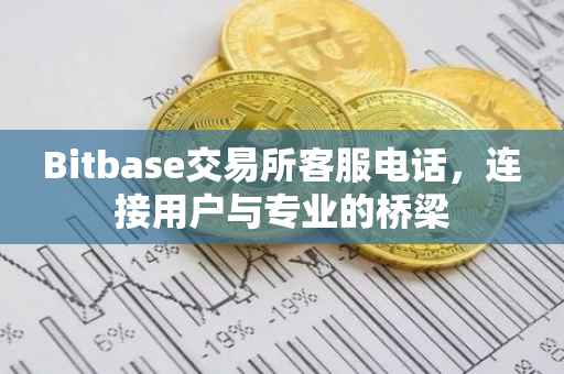 Bitbase交易所客服电话，连接用户与专业的桥梁