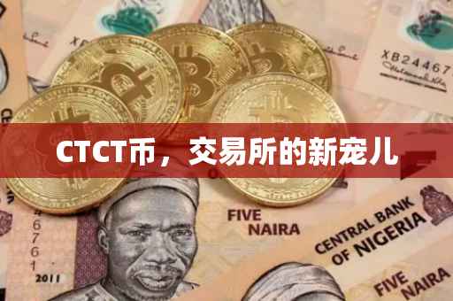 CTCT币，交易所的新宠儿