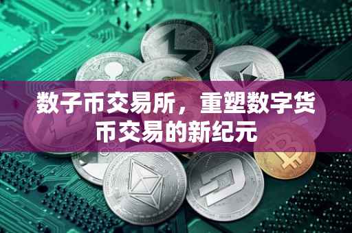数子币交易所，重塑数字货币交易的新纪元