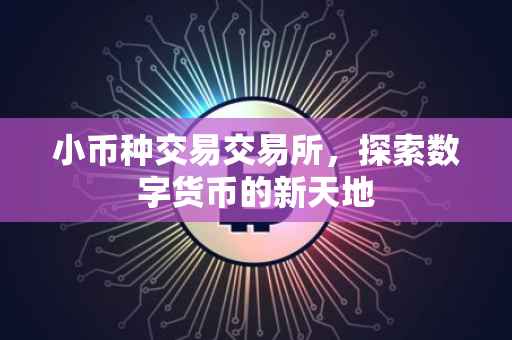 小币种交易交易所，探索数字货币的新天地