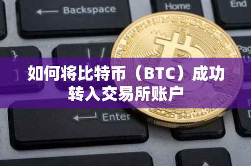 如何将比特币（BTC）成功转入交易所账户