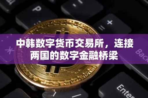 中韩数字货币交易所，连接两国的数字金融桥梁