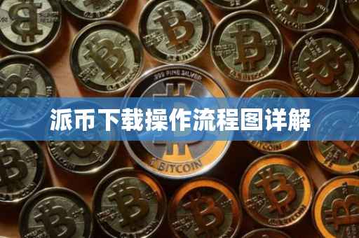 派币下载操作流程图详解
