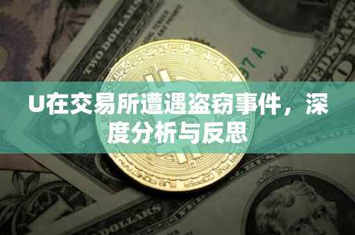 U在交易所遭遇盗窃事件，深度分析与反思