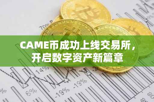 CAME币成功上线交易所，开启数字资产新篇章