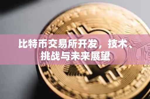 比特币交易所开发，技术、挑战与未来展望