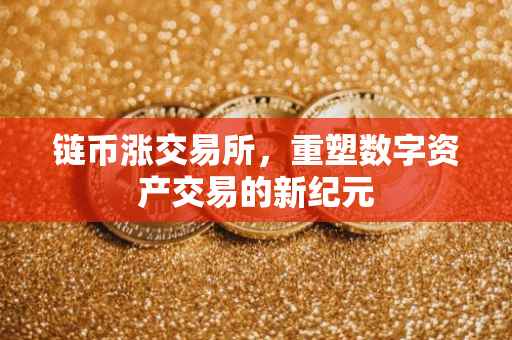 链币涨交易所，重塑数字资产交易的新纪元