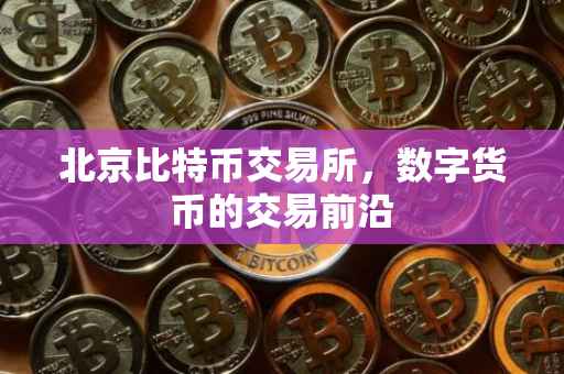 北京比特币交易所，数字货币的交易前沿