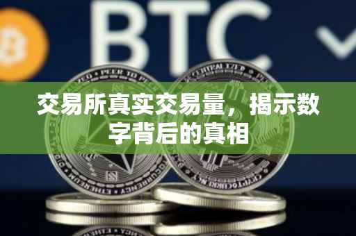 交易所真实交易量，揭示数字背后的真相