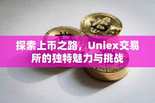 探索上币之路，Uniex交易所的独特魅力与挑战