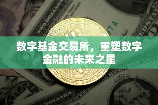 数字基金交易所，重塑数字金融的未来之星