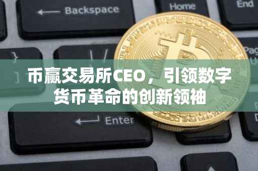 币赢交易所CEO，引领数字货币革命的创新领袖