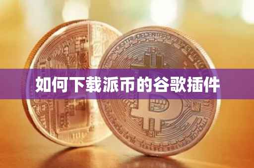 如何下载派币的谷歌插件