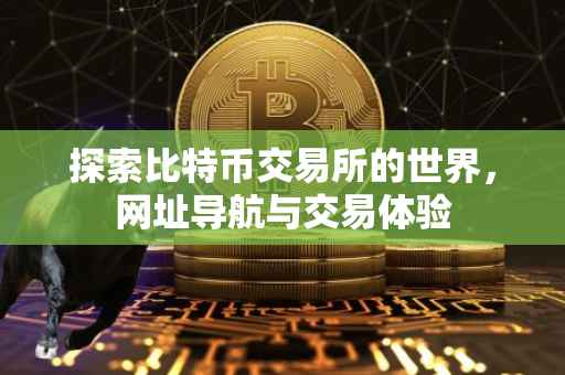 探索比特币交易所的世界，网址导航与交易体验