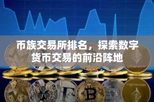 币族交易所排名，探索数字货币交易的前沿阵地