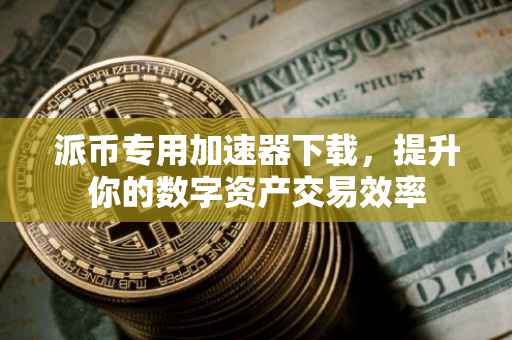 派币专用加速器下载，提升你的数字资产交易效率
