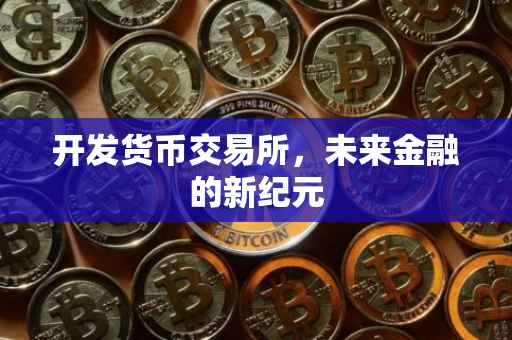 开发货币交易所，未来金融的新纪元