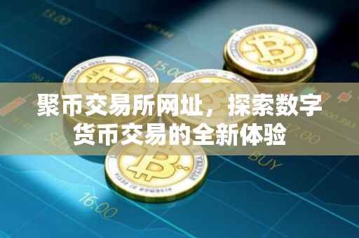 聚币交易所网址，探索数字货币交易的全新体验