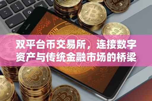 双平台币交易所，连接数字资产与传统金融市场的桥梁