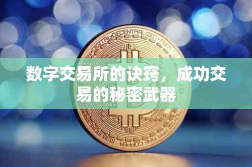 数字交易所的诀窍，成功交易的秘密武器