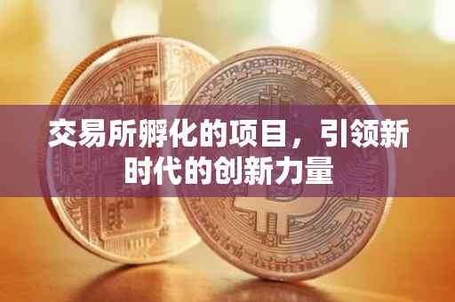 交易所孵化的项目，引领新时代的创新力量