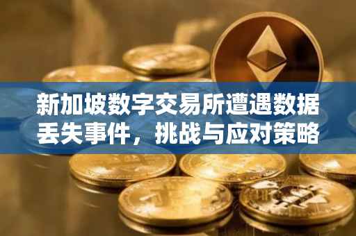 新加坡数字交易所遭遇数据丢失事件，挑战与应对策略