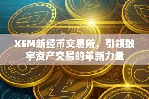 XEM新经币交易所，引领数字资产交易的革新力量