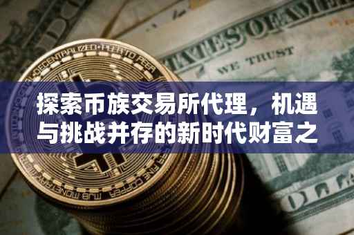 探索币族交易所代理，机遇与挑战并存的新时代财富之路