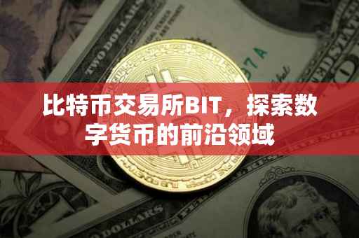 比特币交易所BIT，探索数字货币的前沿领域